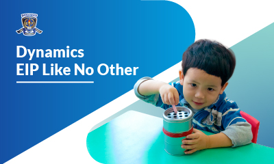 Dynamics EIP Like No Other